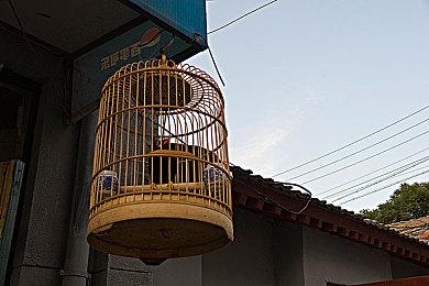 《时间旅者：重生曙光》正是之前被取消的Project C